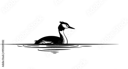 Elegant black and white illustration of a swimming bird on water