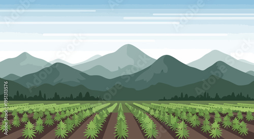Cannabis Farm Landscape with Mountain Background, Hemp Plantation Field 420 Day Agriculture Flat Vector Illustration