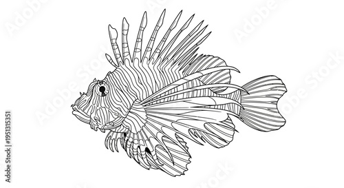 Intricate line art illustration of a lionfish against a clean white backdrop