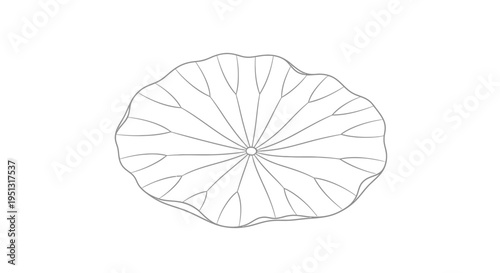 Minimalist outline of a lotus leaf isolated on white background vector
