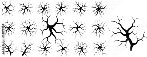 Neuron vector illustration with dendrites cell body branching, neuroscience design, nervous system art, brain biology drawing, scientific educational icons