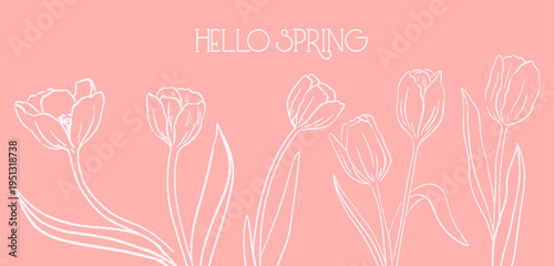 Hello Spring modern floral card background. Crayon poster with tulips for for women's day march 8, mother's day, easter or birthday. Vector Minimal hand drawn botanical flowers template 