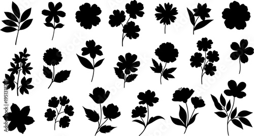Collection of various black silhouette flowers and leaves on white background
