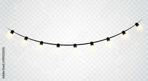 String of warm white outdoor fairy lights on a black cord with transparent background for decoration and ambiance