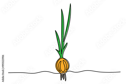 Onion one line art, hand-drawn vegetarian vegetable crop healthy diet continuous drawing contour outline, natural vitamin farming agriculture sprouted plant. Editable stroke. Isolated. Vector