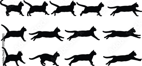 Running cat silhouettes set, feline motion sequence, jumping kitten action poses, domestic cat movement frames, pet animation cycle, wild cat pounce, and athletics