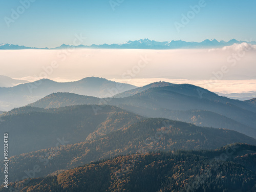 Dawn in the Black Forest, Germany, view from the Belchen Mountain over a Sea of Fog to the Swiss Alps
