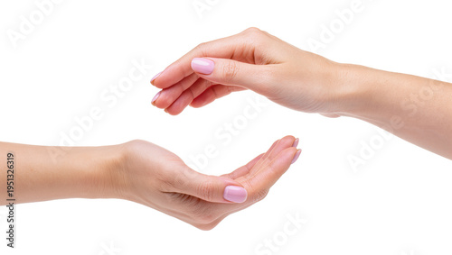 Fotografi Isolated female hands cupped together demonstrating protection, care, or present