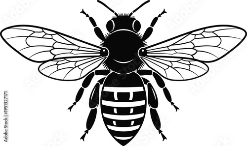 Bee insect illustration detailed wings vector black silhouette honeybee isolated on white background nature pollinator symbol wildlife design element