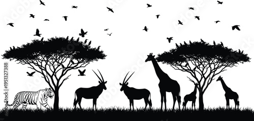 African safari landscape silhouette with giraffe, oryx, tiger, and birds flying over acacia trees in the savanna for nature design.