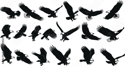 Bald eagle silhouette vector illustration set, black flying hawk icons, majestic bird of prey collection isolated on white background, nature.