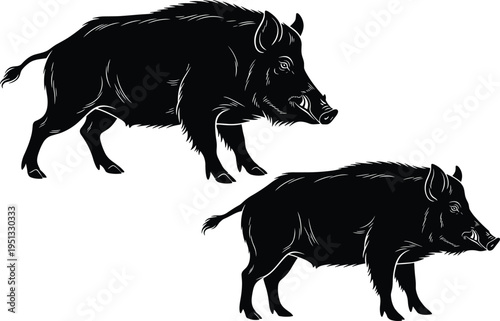 Black wild boar silhouette set with tusks and fur details isolated on white background for hunting club logo or mascot