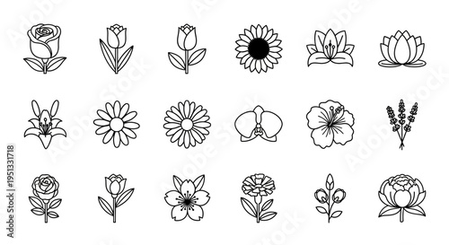 Botanical vector set of eighteen flower line icons including roses tulips and sunflowers for elegant branding
