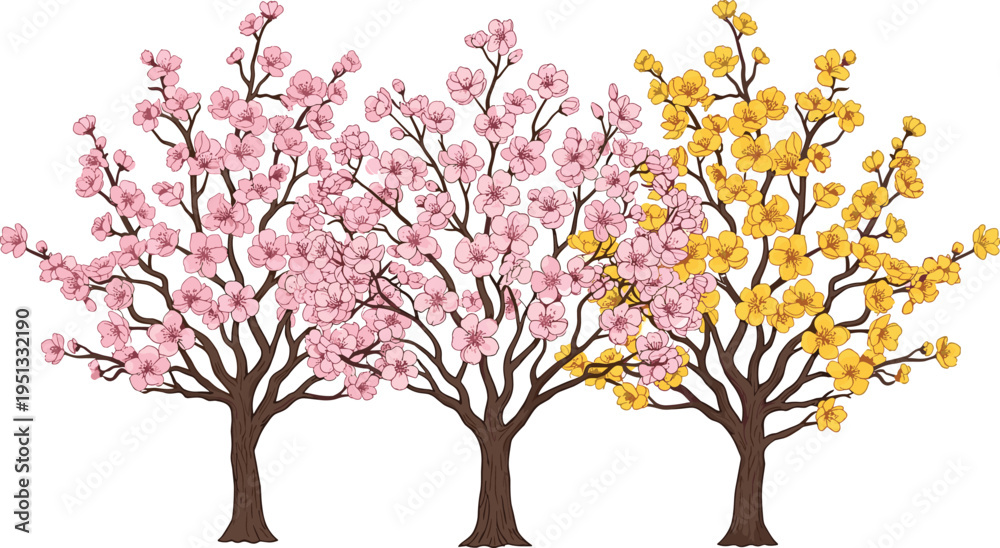Obraz premium Blooming Cherry Blossom and Yellow Flower Tree Set Illustration for Spring Garden Landscape, Floral Nature Design, and Botanical Seasonal Decoration