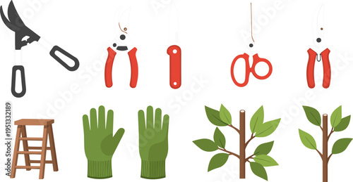Tree Pruning Tools Set with Scissors, Clippers, Gloves, Ladder, and Branches for Garden Care and Tree Maintenance