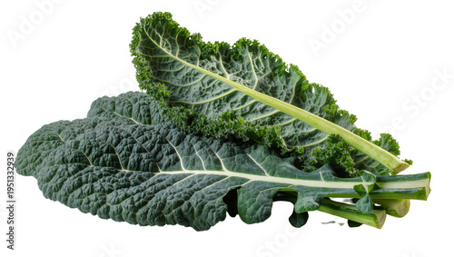 Schilderij op canvas Isolated fresh green curly kale and dinosaur kale leaves, healthy organic raw ve