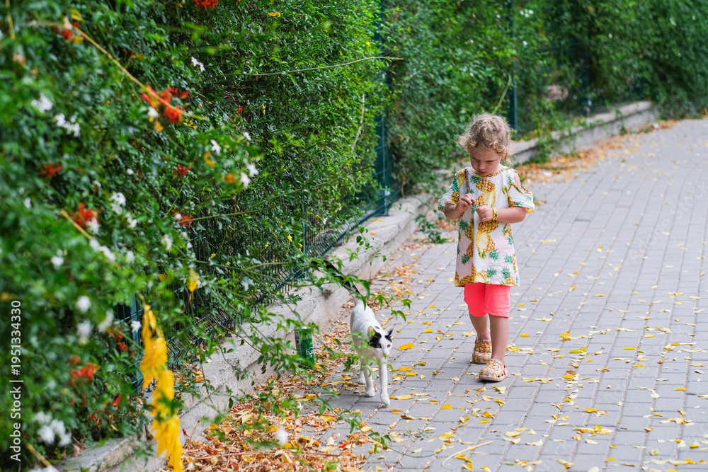 Naklejka premium Turkiye, Antalya 16.03.2026. Child playing with cat on sunny autumn day. Happy kid walking on street with pet animal. Childhood lifestyle concept for family.