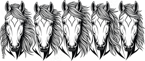 Horse head silhouette collection set on white background, beautiful stallion cad drawing flat vector illustration for ranch and equestrian logo.