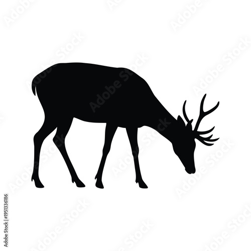 Black and white silhouette of a deer grazing in a field vector illustration, deer sniffing the ground silhouette vector illustration