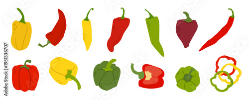 Pepper vegetables set. Chili and bell peppers. Different colorful pepper collection. Flat illustration for food packaging, recipe design, cooking blogs and market branding