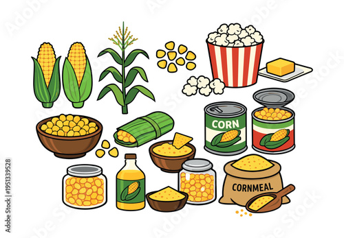 Corn plant, whole cobs, kernels, and various maize food products presented in a set, showing agricultural staples