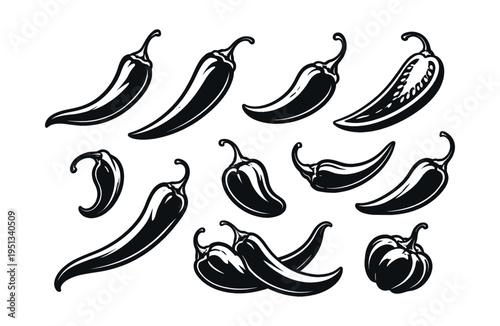 Drawing a set of hot chili peppers in a vintage sketch style, offering various shapes and types of spicy vegetables