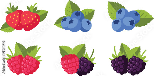Fresh Berries Set with Strawberries, Blueberries, Raspberries, and Blackberries Vector Illustration