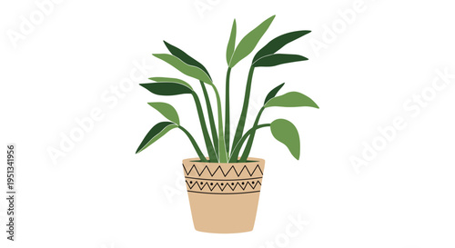 Lush green indoor plant with wide leaves in a decorated tan ceramic pot isolated on a plain white background.