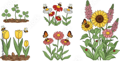Garden Growth Icon Set with Tulips, Sunflowers, Daisies, Butterflies, Bees, and Planting Stages for Spring, Gardening, and Flower Growth