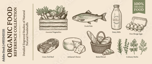 Organic food collection features vegetables, fish, eggs, and more in a simple design