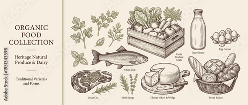 Collection of organic food items including vegetables, eggs, fish, and dairy products in a vector design format