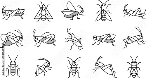 Collection of fifteen stylized insect illustrations including grasshoppers, flies, ants and beetles for biology and educational vector design projects