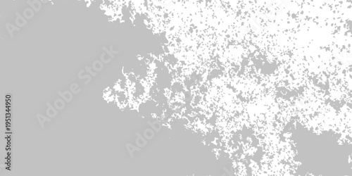 Soft shadows dance delicately across a muted gray backdrop, creating a tranquil abstract design with organic textures. evoking a sense of calm and minimalism. 