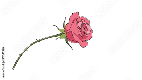 Beautiful single pink rose with long green thorny stem and delicate petals shown as a hand-drawn illustration on white background.