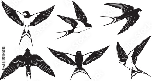 Swallow Bird Silhouette Set in Flight Flying Bird Vector Collection