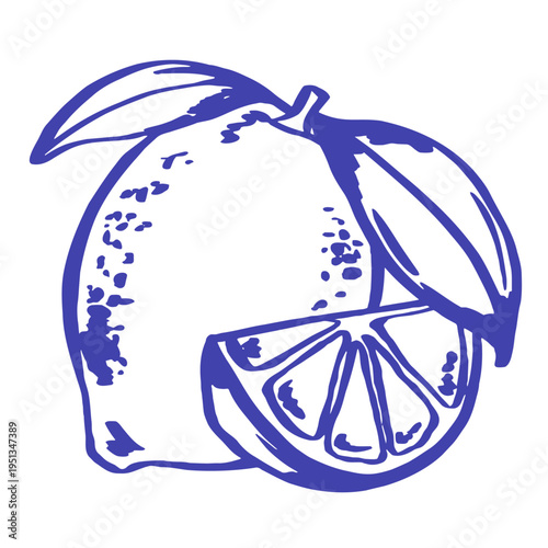 A blue outline illustration of a Mediterranean lemon with leaves and a citrus slice on a light background. This fresh fruit element features a coastal flair, organic texture, and bold lines.