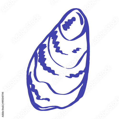 mussel, shell, mediterranean, seafood, mollusk, bivalve, shellfish, marine, sea, ocean, coastal, nautical, maritime, seashell, aquatic, saltwater, seaside, shore, beach, cuisine, food, gourmet, edible