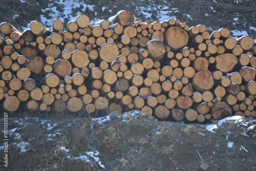 a massive stack of cut wooden logs piled high against a hillside during winter light snow dusts 