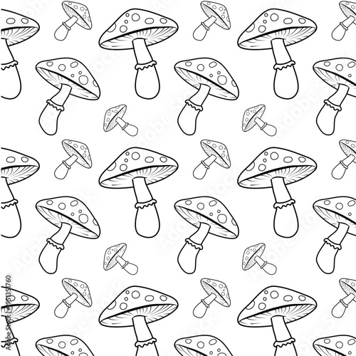 Drawn mushrooms fly agarics autumn patterns black and white