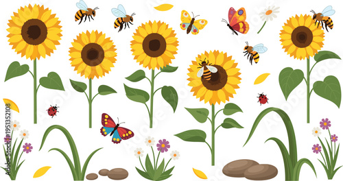 Sunflower Garden Nature Set Featuring Blooming Sunflowers Bees Butterflies Ladybugs Leaves Wildflowers Grass Stones and Summer Garden Elements Vector Illustration Collection