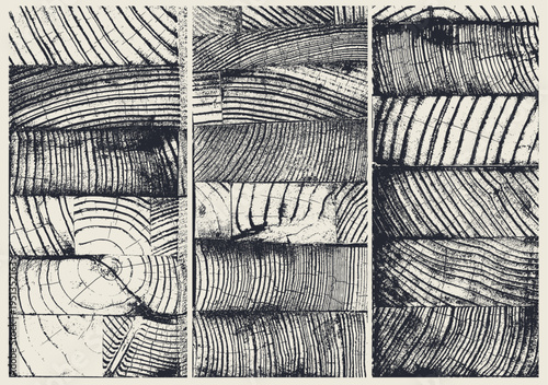 Abstract geometric composition of rectangular blocks with unique curved line patterns. Modern vector background with fingerprint or wood ring style textures. Minimal artistic line pattern design.