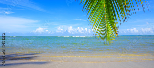 Sunny Tropical Beach with green Palm tree branch and Ocean Waves.