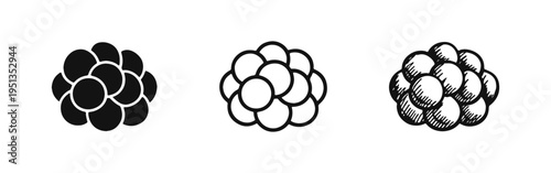 Morula Cell Cluster Icon Set - Early Embryonic Development Stage in Solid, Outline, and Hand-Drawn