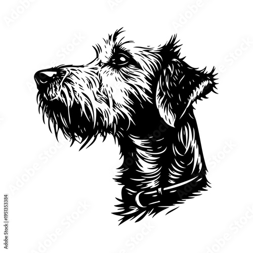 Logotipo tienda de mascotas. Dibujo sencillo con líneas de la cabeza de un perro schnauzer visto de perfil
