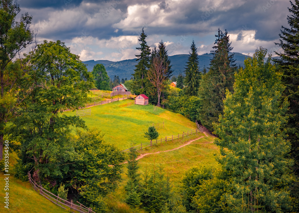 Fototapeta premium Attractive summer view of Carpathian mountains. Captivating morning scene of rolling hills with in Stebny village, Transcarpathians, Ukraine, Europe. Beauty of countryside concept background.