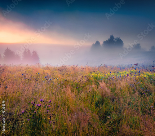 Unbelievable summer view of foggy mountain valley. Magnificent sunrise  on Transcarpathian, Ukraine, Europe. Stunning morning scene of Carpathian mountains. Beauty of nature concept background.