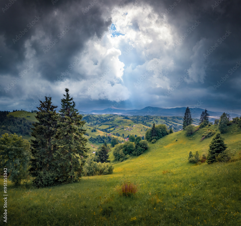 Fototapeta premium Dramatic summer view of green mountain countryside. Majestic evening scene of fir tree forest in Carpathian mountains, Kvasy village location, Ukraine. Beauty of countryside concept background.