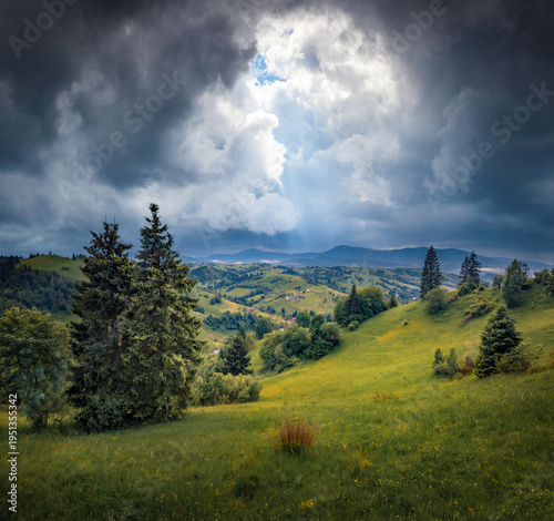Dramatic summer view of green mountain countryside. Majestic evening scene of fir tree forest in Carpathian mountains, Kvasy village location, Ukraine. Beauty of countryside concept background.