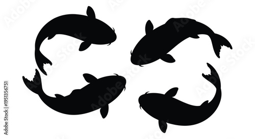 Four koi fish swim in a circular pattern a striking silhouette