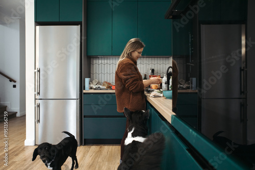 A grown woman is doing housework in the kitchen. Two dogs are at her feet, begging for food. A green interior.